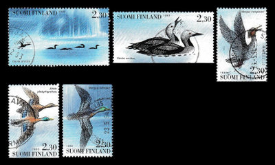 1218-22 o Vesilintuja (1993)
