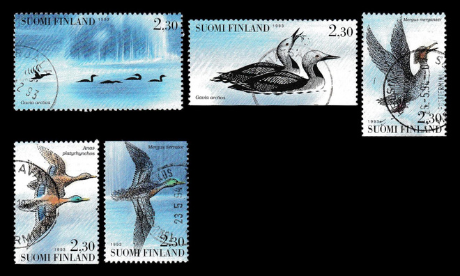 1218-22 o Vesilintuja (1993)