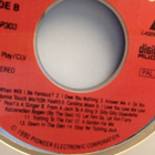 LASER KARAOKE :: PIONEER  LD-LEVYT [LASER DISC] :: Vol.303 - pikkukuva 4