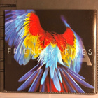 FRIENDLY FIRES - Pala  cd-albumi digipak - pikkukuva 1