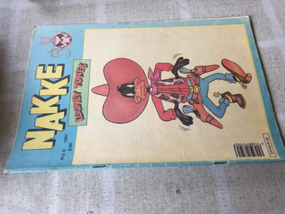 NAKKE 6/1991 HYVÄ