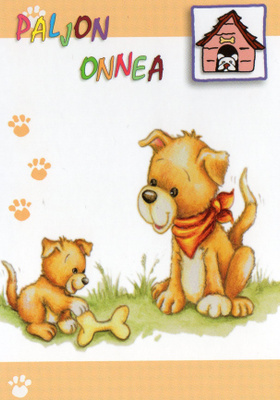 Paljon Onnea