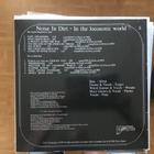 Noise in dirt in The locosonic world LP - pikkukuva 2