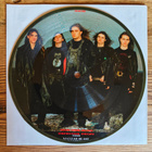 Dismember: Skin Her Alive PICTURE 7" - pikkukuva 2