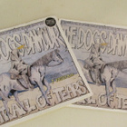 The Dogs d'amour trail of tears 7 45 UK 1989 julistekansi - pikkukuva 1