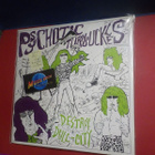 PSYCHOTIC TURNBUCKLES - DESTROY DULL CITY EX-/EX+ - pikkukuva 1