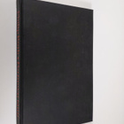 Philip Roth : Portnoyn tauti - pikkukuva 1