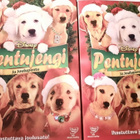 Pentujengi ja joulupentu - pikkukuva 2