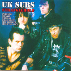 UK SUBS Stranglehold CD - pikkukuva 1