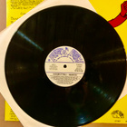 Magnetics LP - pikkukuva 3