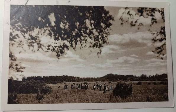 Heinänteossa - väkijoukko heinäpellolla (Tubi-pk), p. 1921