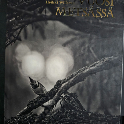 Heikki Willamo, Vuosi metsässä, valikuva ja tarina