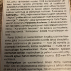RUNAR SCHILDT: KOTIINPALUU - pikkukuva 2