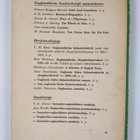 Aune Tuomikoski : Modern English essays - pikkukuva 2
