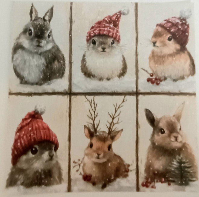 Korttikuva-arkki JOULUELÄIMET / 15 x 15 cm