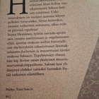 SILJA MANSIKKA MYKKÄ NAINEN JA MIILUNPOLTTAJA - pikkukuva 2
