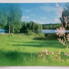 "Kesäinen järvimaisema" KULKEMATON POSTIKORTTI - pikkukuva 1