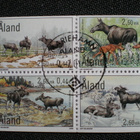 LOISTOleimattu vihko Hirvet  ÅV8 - LaPe 20 €! - pikkukuva 2