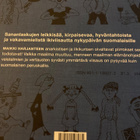 MAIKKI HARJANNE: EHTAA TAVARAA - pikkukuva 2