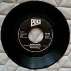 Raaka-Arska - Muumi Muumi 7” single 1987 - pikkukuva 1