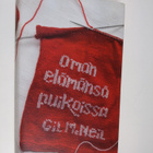 Gil McNeil : Oman elämänsä puikoissa - pikkukuva 1