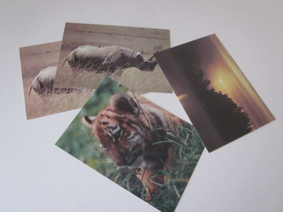 WWF, kulkematon