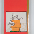 Charles M. Schulz : Älä jännitä, Jaska Jokunen - pikkukuva 2
