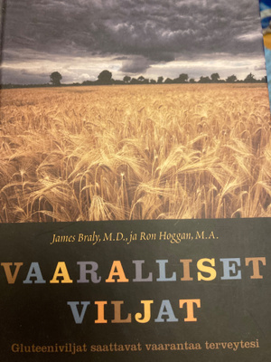 VAARALLISET VILJAT gluteeniviljat saattavat vaarantaa tervey