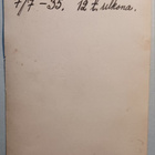 Valkjärvi, pariskunnat retkellä rannalla, 8.7.1933 - pikkukuva 2