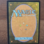 Magic the Gathering Showdown of the Skalds - pikkukuva 2