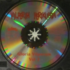 Vilperin Perikunta • Gloria Vilperum Vol 2 CD - pikkukuva 5