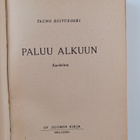 Tauno Koivukoski : Paluu alkuun : kuvitelma - pikkukuva 3