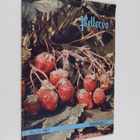 Pellervo 12/1967 - pikkukuva 1