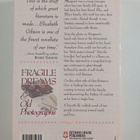 Elizabeth Gibson : Fragile Dreams and Old Photographs - pikkukuva 2