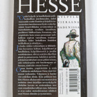Hermann Hesse : Kylpylävieraana Badenissa - pikkukuva 2