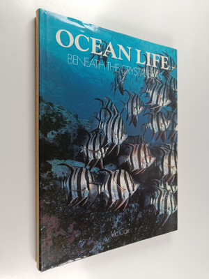 Vic Cox : Ocean life : beneath the crystal seas