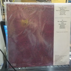 ALICE IN WASTELAND - RED LP 1ST FIN-90 M-/EX+ - pikkukuva 2