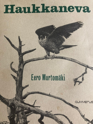 EERO MURTOMÄKI: HAUKKANEVA