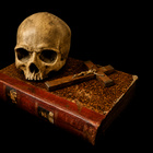 Superharvinainen Memento Mori – kokonaisuus ”Law & Violence” - pikkukuva 2