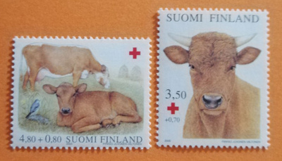 SUOMI 2000 PR-Lehmät
