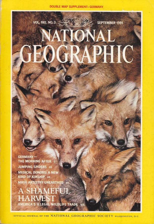 National Geographic vol.180 No.3 poster: Germany