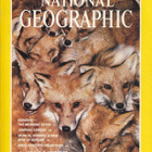 National Geographic vol.180 No.3 poster: Germany - pikkukuva 1