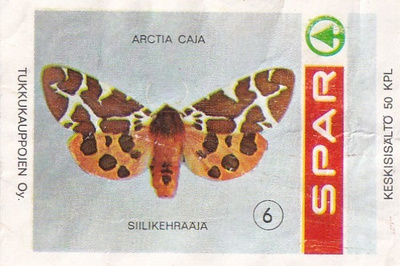 SPAR  6, Siilikehrääjä    8/9