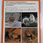Helga Fritzsche : Hamsterit - pikkukuva 2