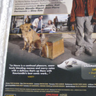 LE HAVRE (DVD) AKI KAURISMÄKI - pikkukuva 2