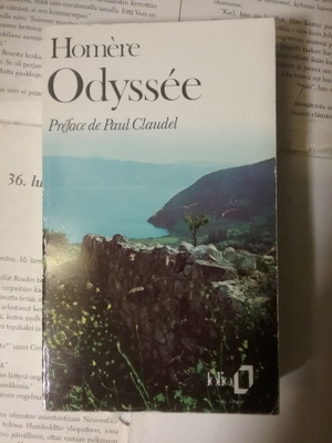 Homere - Odyssee (livre de poche)