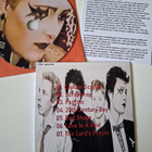 SIOUXSIE & THE BANSHEES track studio rehearsal 12.3.1977 - pikkukuva 2