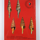 Jorgen Hylleberg ym. : Tropical Marine Mollusc Programme ... - pikkukuva 2