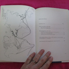 OULUN LAIVOJA JA LAIVUREITA 1816-1875 . p.w.snellman - pikkukuva 2