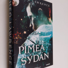 Theo Lawrence : Pimeä sydän - pikkukuva 1